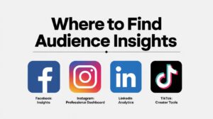 Where to find audience insights